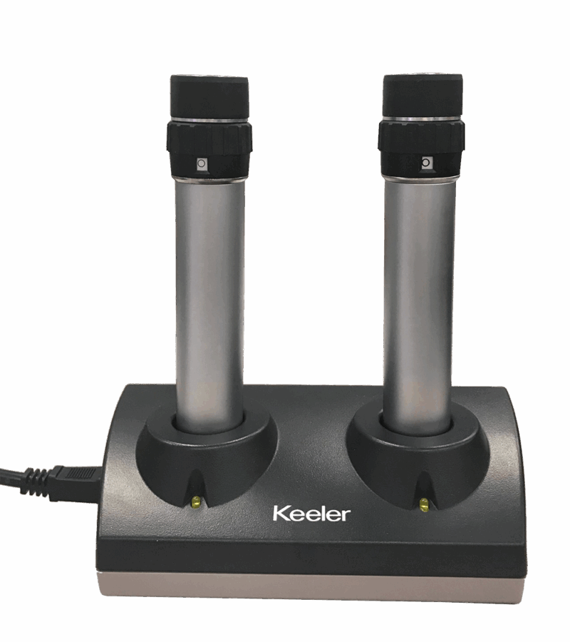 Cargador doble de litio